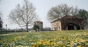 Proleće u Beogradu