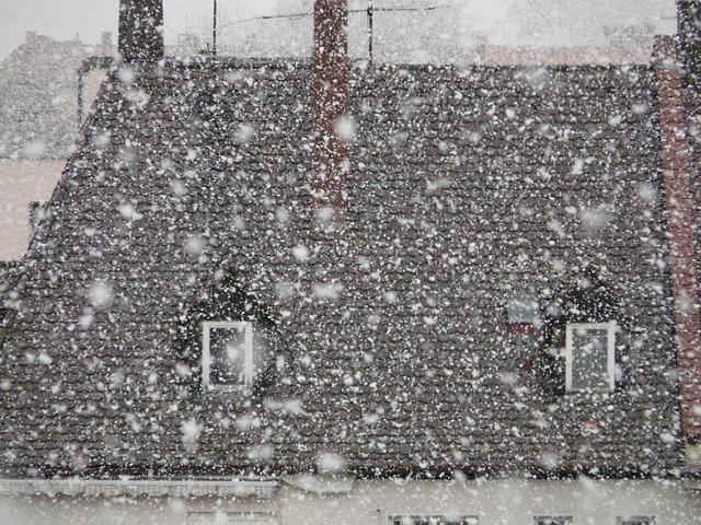 Sneg u Beogradu; hladni talas - arhivski snimak