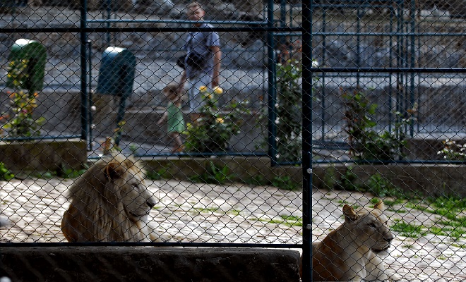 Beogradski zoološki vrt – Vrt dobre nade