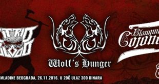 Wolf's Hunger