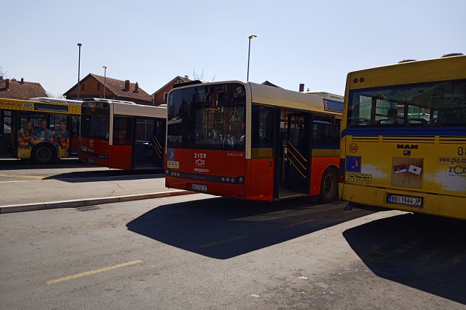 Bus plus - GSP Beograd (foto: N. M; danubeogradu.rs)