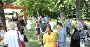Najveća akcija sadnje stabala u Srbiji: Zasadi drvo