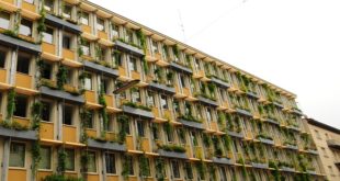 Beč: zelenim fasadama protiv klimatskih promena (foto: Josef Mikocki / MA 22)