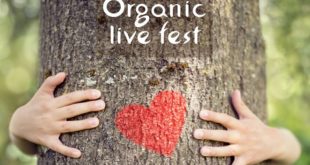 Organic Live Fest: Zagrli drvo
