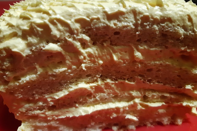 Sladoled torta (foto: Dunja Filipović)