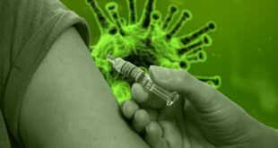 Da li znate... da je naučnicima dozvoljeno da vakcinu protiv virusa korone testiraju na ljudima (foto: Pixabay)