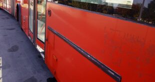 Bus plus dopune za javni gradski prevoz (foto: Nenad Mandić / danubeogradu.rs)