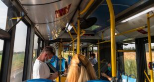 Bus plus dopune (foto: BalkansCat / Shutterstock)