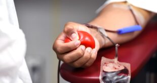 Nedelja solidarnosti u Institutu za transfuziju krvi Srbije (foto: Pixabay)