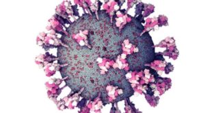 3D prikaz virusa korona (foto: © Nanographics GmbH)