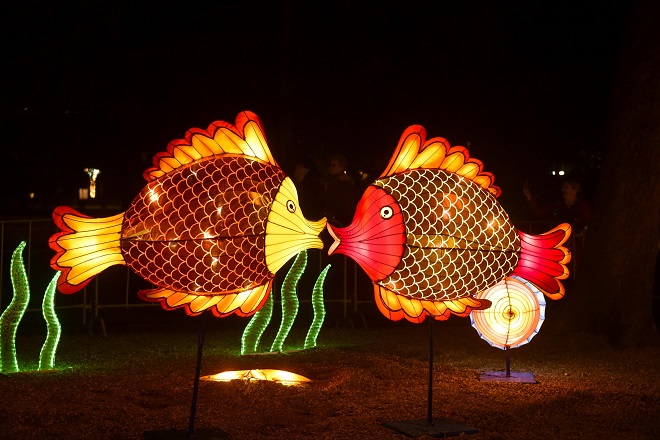 Kineski festival svetla (foto: Đorđe Tomić)