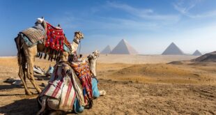 Gde može da se putuje iz Srbije - mart 2021: Egipat (foto: Kanuman / Shutterstock)