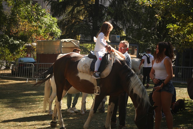 Veliki dečji karneval u parku Tašmajdan (foto: Ljupka Vujanić)