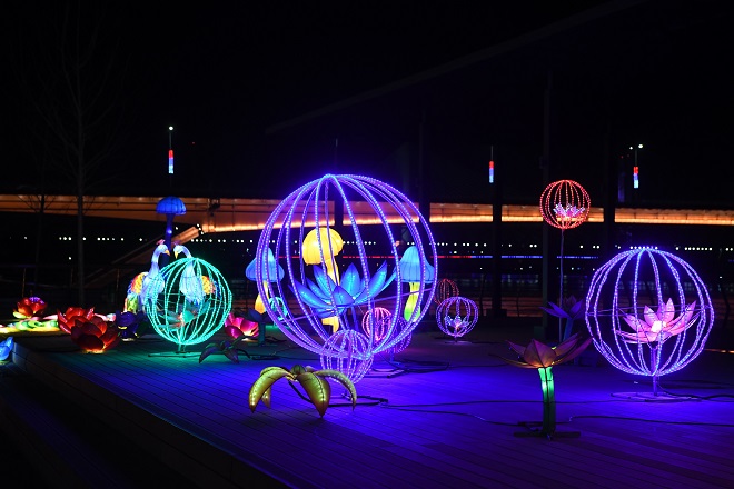 Kineski festival svetla (foto: Goran Srdanov)