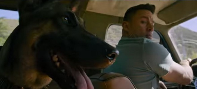 Novi filmovi u bioskopima: Pas