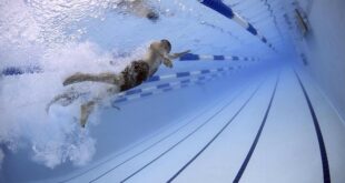 Sportska takmičenja u Beogradu: plivački miting (foto: Pixabay)