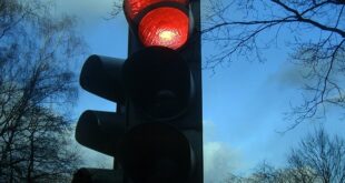 MUP Srbije: Sankcionisanje vozača koji prođu vozilom na crveno svetlo semafora (foto: Pixabay)