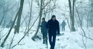 Novi filmovi u bioskopima: Sneg i medved