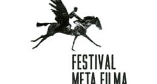 Festival meta filma