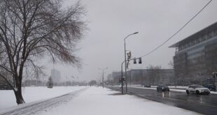 Godišnja doba: Zima u Beogradu (foto: Brankica Andonović)