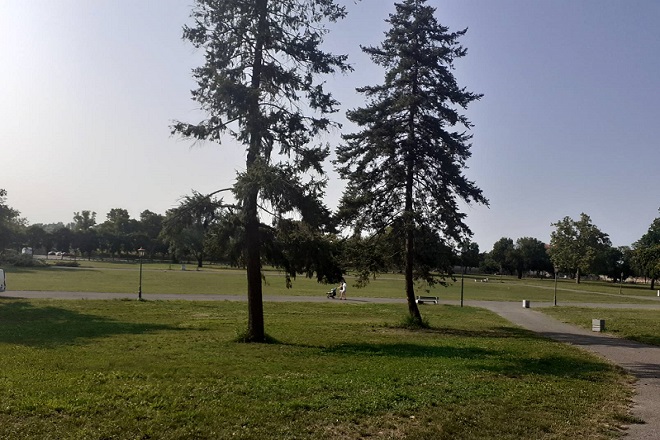 Vremenska prognoza (foto: Brankica Andonović)