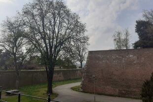 Vremenska prognoza (foto: Brankica Andonović)