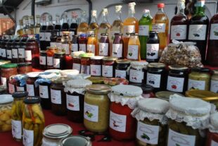 Karavan zimnice (foto: beograd.rs)