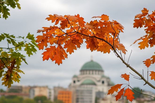 Sedam dana u Beogradu, 18-24. septembar 2025: Dolazak jeseni (ilustracija: ChatGPT)