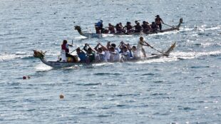 Sedam dana u Beogradu, 4-10. septembar 2025: EP u dragon boatu (foto: Srpski dragon boat savez)