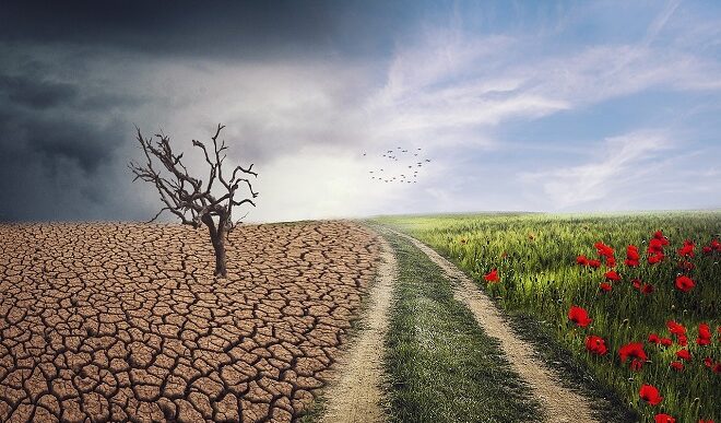 Beogradski univerzitet: Novi master program (ilustracija: Pixabay)