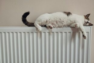 Beogradske elektrane: Radijatori u stanovima topli (foto: He Gong / Unsplash)