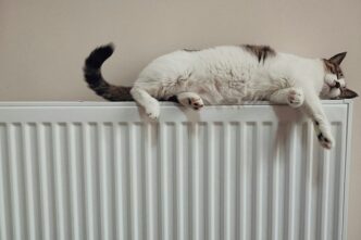 Beogradske elektrane: Radijatori u stanovima topli (foto: He Gong / Unsplash)