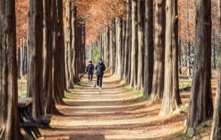 Nedeljni horoskop (foto: Pixabay)