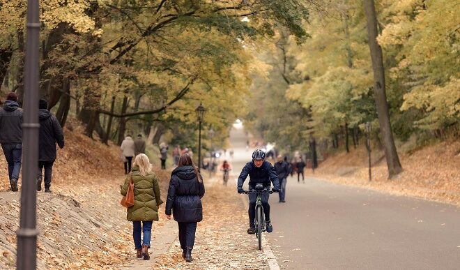 Nedeljni horoskop (foto: Pixabay)