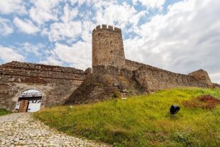 Beogradska tvrđava: Resolution Run (foto: DepositPhotos.com)