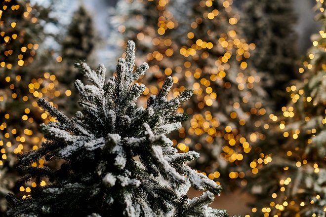 Jelke i praznične dekoricije na beogradskim pijacama (foto: DepositPhotos.com)