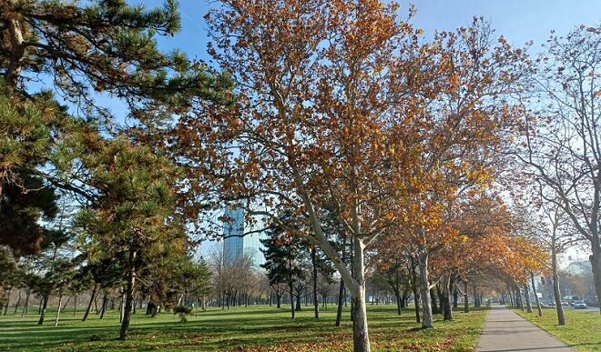 Vremenska prognoza (foto: Brankica Andonović)