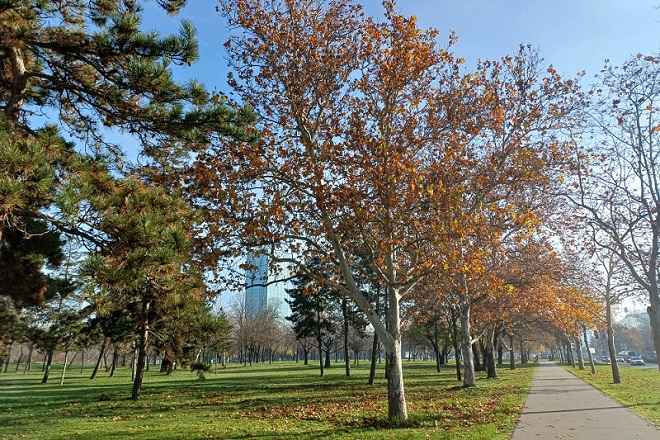 Vremenska prognoza (foto: Brankica Andonović)