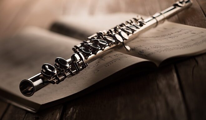 Ciklus koncerata IMS: MUZIKOM KROZ MUZEJ (foto: DepositPhotos.com)