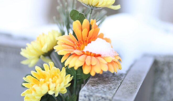 Poznate ličnosti: Preminuli (foto: DepositPhotos.com)