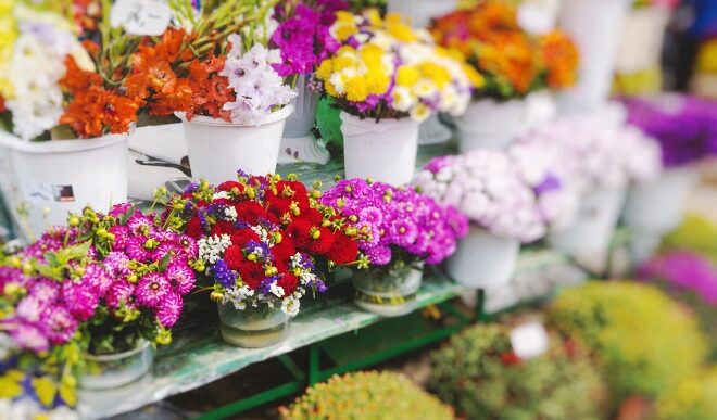 Sedam dana u Beogradu, 26. mart - 1. april 2026: Prolećni sajam cveća (foto: DepositPhotos.com)