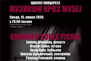 Muzikom kroz muzej: Chamber Souls Picnic