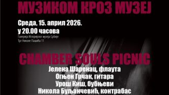 Muzikom kroz muzej: Chamber Souls Picnic