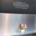 Nedelja sećanja i zajedništva - Ribnikar / memorijal (foto: N. Mandić)