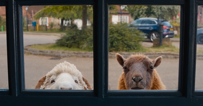 Novi film u bioskopima: Ovce detektivi
