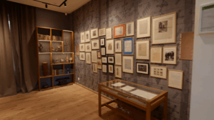 Spomen-muzej Nadežde i Rastka Petrovića (foto: beograd.rs)