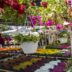 Sedam dana u Beogradu, 14-20. maj 2026: Prolećni sajam cveća (foto: DepositPhotos.com)