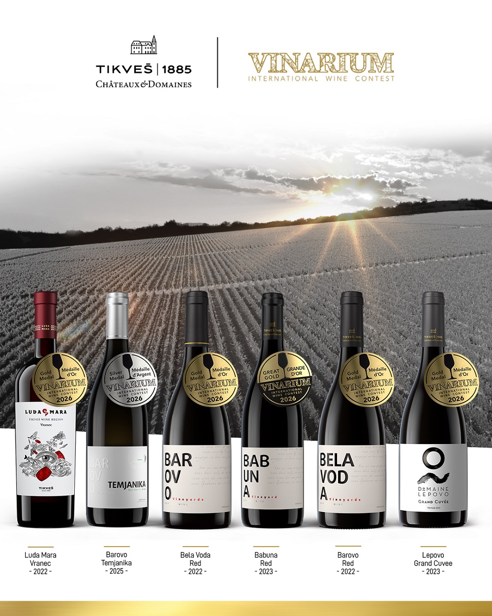 Medalje - Vinarium International Wine Contest 2026