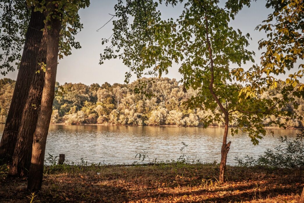 Spakujte kofere za vikend: Pet skrivenih oaza nadomak Beograda - Sava kod Obrenovca (foto: DepositPhotos.com)