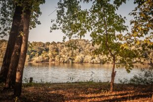 Spakujte kofere za vikend: Pet skrivenih oaza nadomak Beograda - Sava kod Obrenovca (foto: DepositPhotos.com)